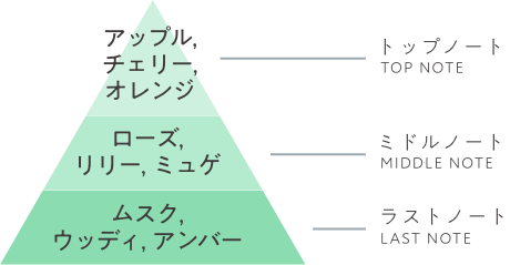 トップノートTOP NOTE ミドルノートMIDDLE NOTE ラストノートLAST NOTE