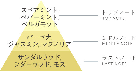 トップノートTOP NOTE ミドルノートMIDDLE NOTE ラストノートLAST NOTE