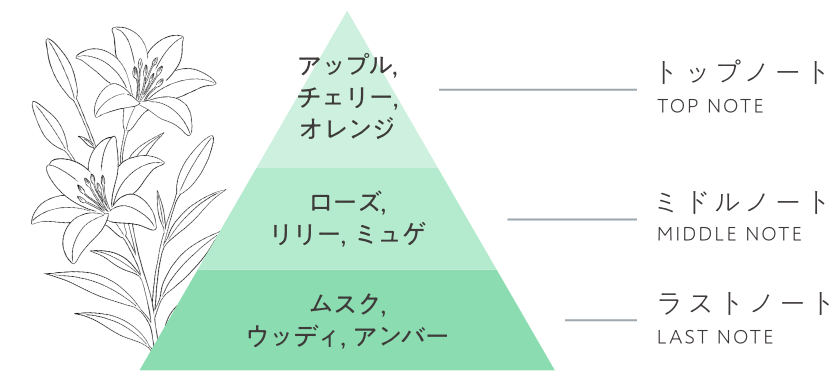 アップル、チェリー、オレンジ　ローズ、リリー、ミュゲ　ムスク、ウッディ、アンバー