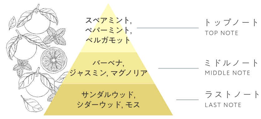 アーモンド、ペアー、オレンジ　ピオニー、アクアティック、ミュゲ、フリージア　ハニー、アンバー、ウッディ、ムスク