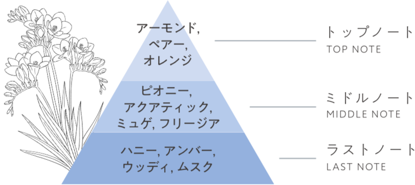 トップノート アーモンド,ペアー,オレンジ / ミドルノート ピオニー,アクアティック,ミュゲ,フリージア / ラストノート ハニー,アンバー,ウッディ,ムスク